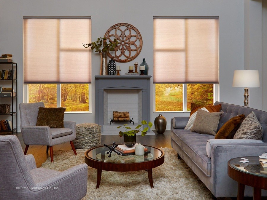 A luxury living room with Lutron roller shades halfway down.