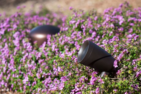Are Outdoor Speakers Worth the Investment? - Blog